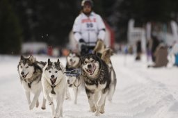 Lenzerheide 2013